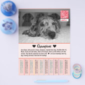 ダネの子犬フライヤーを売る チラシ (シングル)