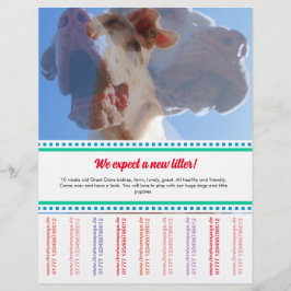 ダネの子犬フライヤーを売る チラシ