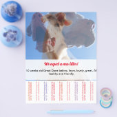 ダネの子犬フライヤーを売る チラシ (シングル)