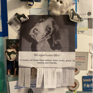 ダネの子犬フライヤーを売る チラシ