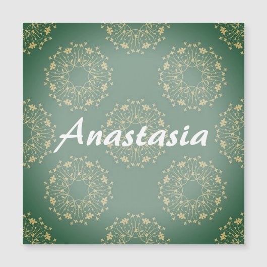 ダネカッコいいリオン (正面)