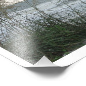 ダネグラス フォトプリント            (角)