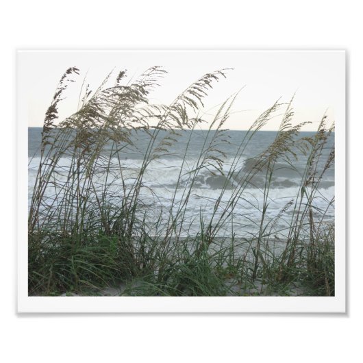 ダネグラス フォトプリント            (正面)