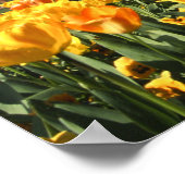 ダネジン鉄道駅 ポスター (角)