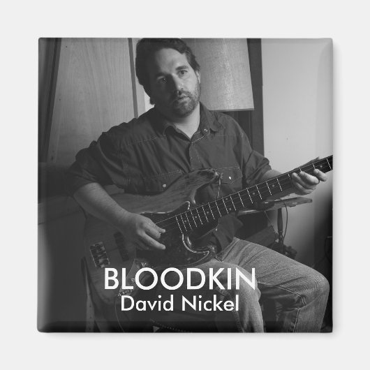 ダビッドニッケル磁石 マグネット (正面)