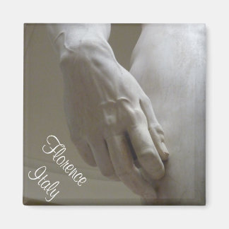 ダビデの手 マグネット