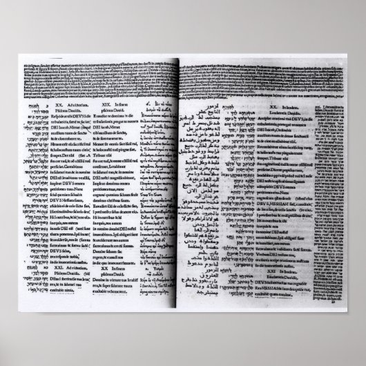 ダビデの詩編：オクタープラム， 1516 ポスター (正面)