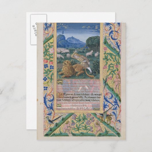 ダビデは羊父のを守って ポストカード (正面/裏面)