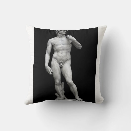 ダビデ クッション (裏面)