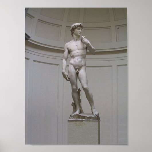 ダビデ ポスター (正面)