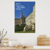 ダビデ ポスター (キッチン)