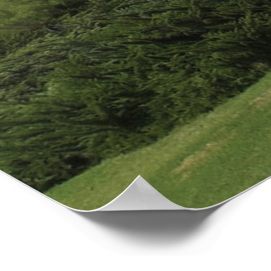 ダビデ ポスター (角)