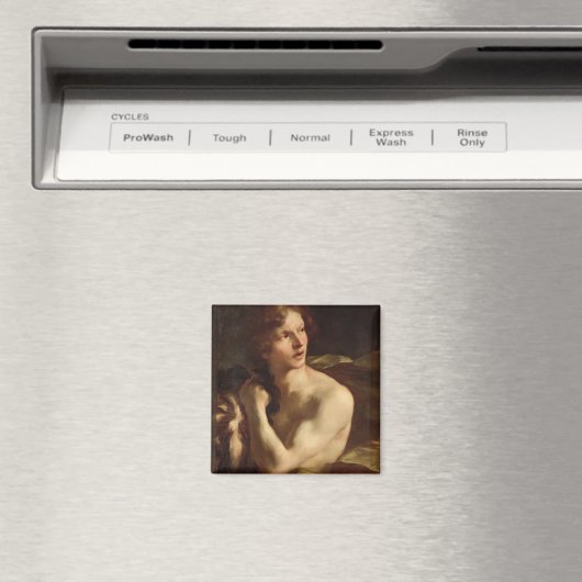 ダビデ マグネット (インサイチュ (食洗機))