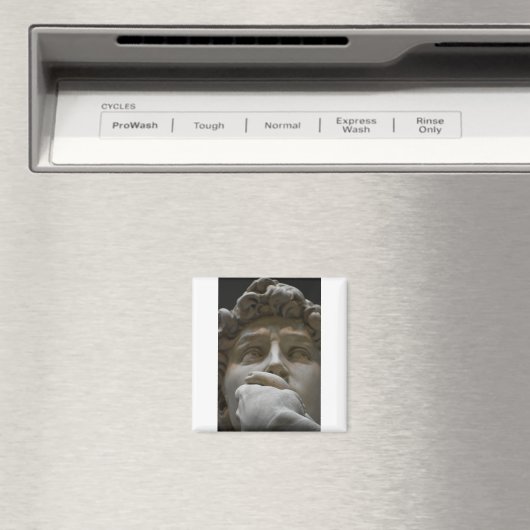 ダビデ マグネット (インサイチュ (食洗機))