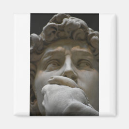 ダビデ マグネット