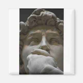 ダビデ マグネット