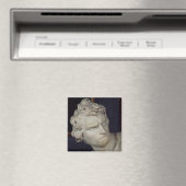 ダビデ，頭部の詳細, 1623-23 マグネット (インサイチュ (食洗機))