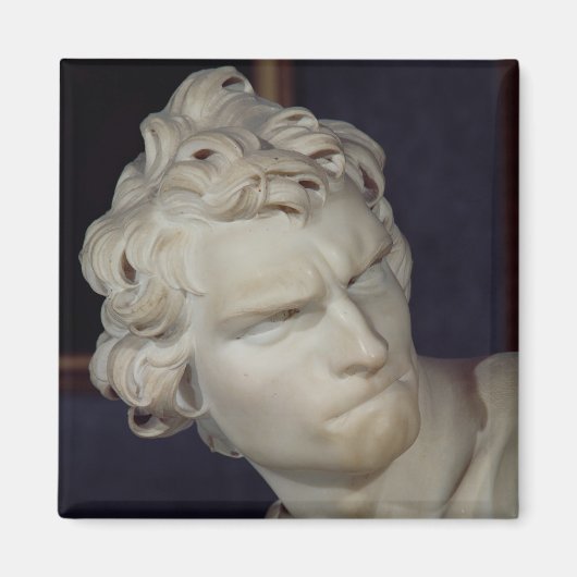 ダビデ，頭部の詳細, 1623-23 マグネット (正面)