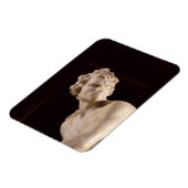 ダビデ， 1623-24 （大理石） (詳細) マグネット (左側)