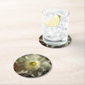 ダフィドルドリームズ ラウンドペーパーコースター (インサイチュ)