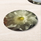 ダフィドルドリームズ ラウンドペーパーコースター (アングル)