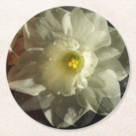 ダフィドルドリームズ ラウンドペーパーコースター