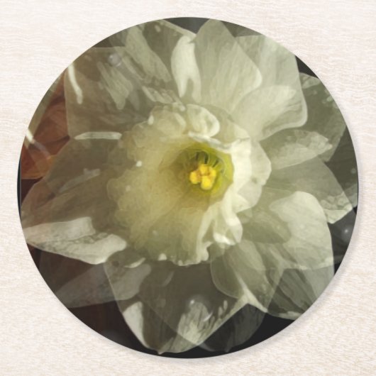 ダフィドルドリームズ ラウンドペーパーコースター (正面)