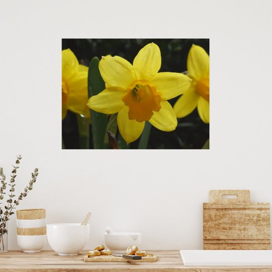 ダフィー ポスター (キッチン)