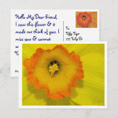 ダフィー ポストカード (正面/裏面)