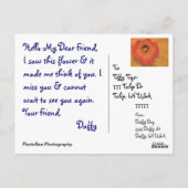 ダフィー ポストカード (裏面)