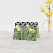 ダフォジルのグループ カード (黄色い花)