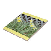 ダフォジルのグループ タイル (側面)