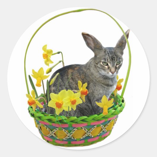 ダフォジルの復活祭の猫ステッカー ラウンドシール (正面)