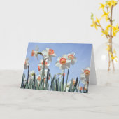 ダフォジルの開花 カード (黄色い花)