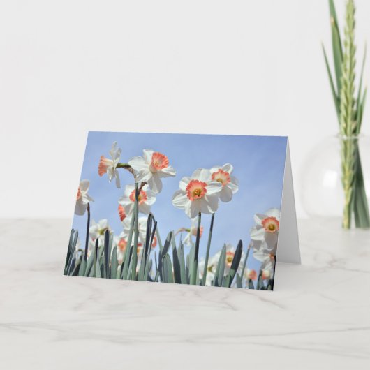 ダフォジルの開花 カード (正面)