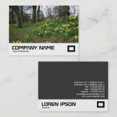 ダフォジルスビュートパークカーディフ 名刺 (正面/裏面)