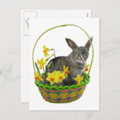 ダフォジル絵葉書の復活祭キャット シーズンポストカード (正面/裏面)