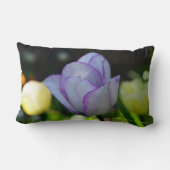 ダフォジル美しい ランバークッション (裏面)