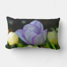 ダフォジル美しい