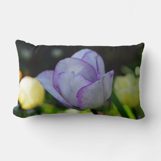 ダフォジル美しい ランバークッション (正面)