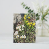 ダフォジル&クロッカス葉書 ポストカード (スタンド正面)