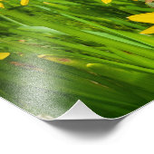 ダフォジル フォトプリント            (角)