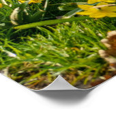 ダフォジル ポスター (角)