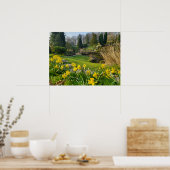 ダフォジル ポスター (キッチン)