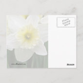 ダフォジル ポストカード (裏面)