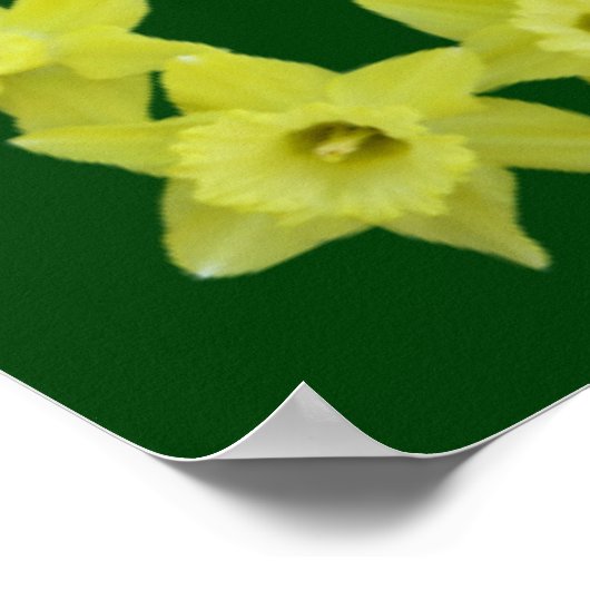 ダフォディルの枠の主の祈りの言葉 ポスター (角)