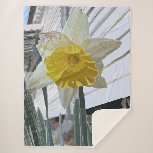 ダフォディルシェルパラージブランケット シェルパブランケット (正面)