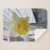 ダフォディルスモールシャーパブランケット シェルパブランケット (正面(横))