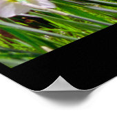 ダフォディルヒル ポスター (角)