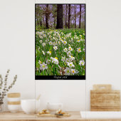 ダフォディルヒル ポスター (キッチン)